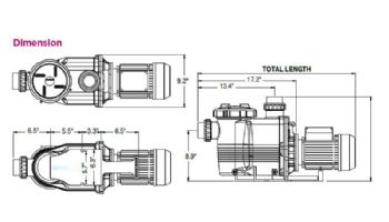 Waterco Hydrostorm Plus 3HP High Performance Commercial Pool Pump | 230V Energy-Efficient | 2405300A