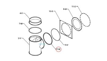 Raypak Flue Exhaust Tee Seal Gasket 10" | 009691F