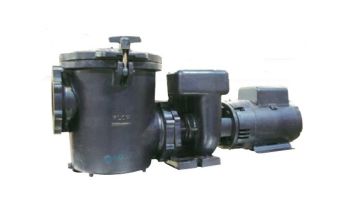 Waterco Hydro5000 20HP Cast Iron Commercial High Performance Pump | 3-Phase 208-230/460V | 19B05003