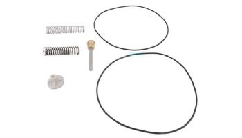 Raypak Bypass Valve Kit | 062235B