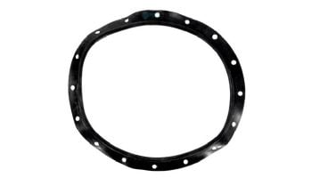 Fluidra Commercial Filter Lid Gasket | 723R4140120