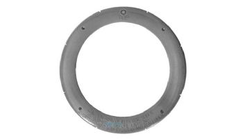Pentair Large Plastic Face Ring | Gray | 79212165