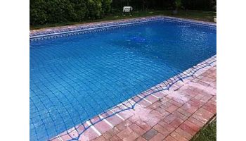 SmartPool WaterWarden Safety Net for 14' x 28' Inground Pool | WWN1428
