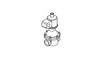Raypak Solenoid Safety Shut Off Valve M-10 | 011909F