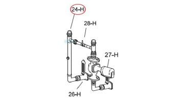 Raypak Recirculating Assembly | 007749F