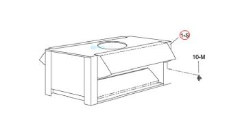 Raypak Draft Hood Top Assembly | 002079F