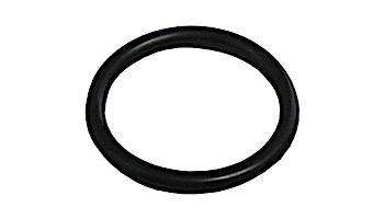 Aladdin O-ring for Dough Boy, Jacuzzi and Swimquip | O-225