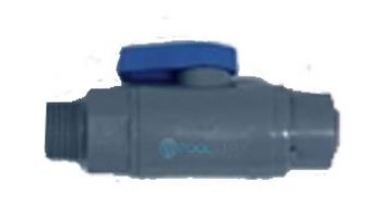 IPS Controllers Grey/Blue 2-Way Valve for Large Filter Strainer | VALVE FILTER