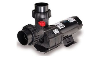 Speck Pumps 21-80/33GS 4HP 3 Phase Single Speed Pump | SA103-1400F-000