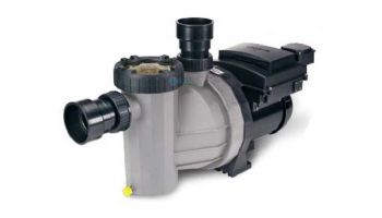 Speck Badu Ecomv/ 72-V Variable Speed Pump | 2.5HP 208-230V 10A | 2072266213