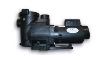 Blue Torrent Inground Pool Pump | 1 HP 115/230V | 5-AC1056