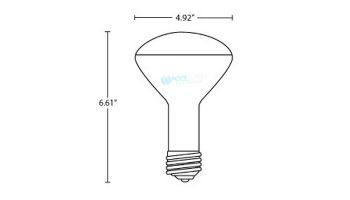 Hayward R40 Reflector Flood Warm White Pool Light Incandescent | 120V 500W | R40FL500/HG 104042