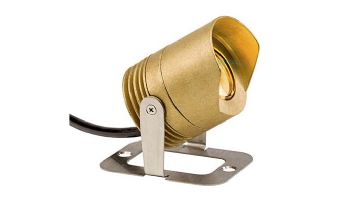 FX Luminaire LL Under Water Light | Brass | Zone Dimming with Color | LLZDCBS100