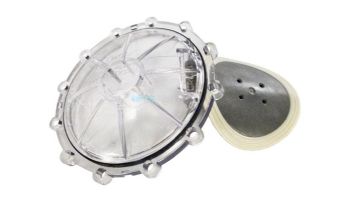 Pentair CPVC FullFloxf Check Valve Replacement Parts | Rebuild Kit | Clear | 270119Z