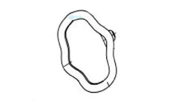 Hayward Wave Washer | HCXP6053A