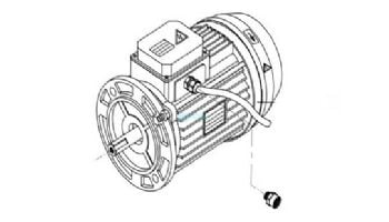 Hayward TEFC Motor 10HP HCP100 3-Phase | HCXP100CMOTOR