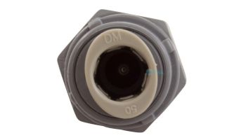 Hayward CO2 Fitting Injector | CAX-20152