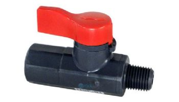 Hayward Asahi Ball Valve | 1/4" | CAX-20254