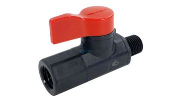Hayward Asahi Ball Valve | 1/4" | CAX-20254