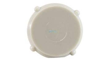 Hayward Probe Storage Cap | CAX-20274
