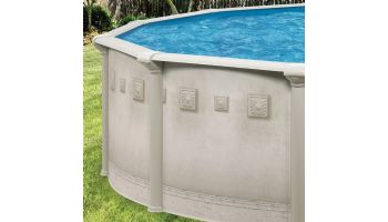 Millenium 24' Round Above Ground Pool with Standard Package | 52" Wall | PPMIL2452