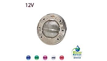 Pentair IntelliBrite 5G LED COLOR Spa Light for Inground Spas | 12V 100' Cord | 640055 640132