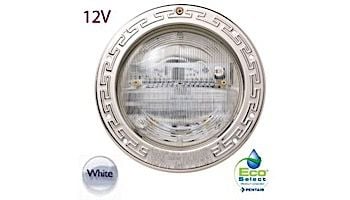 Pentair Intellibrite 5G WHITE Pool Light for Inground Pools | 12V LED 500W 100' Cord | 601307