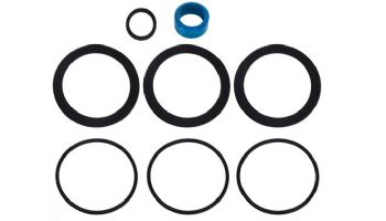 Pentair Bioshield UV Sterilizer Seal Kit | 523031
