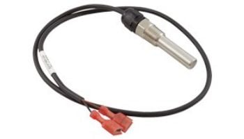 Lonchivar Immersion Inlet Sensor | 100208553