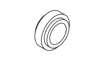 Lochinvar K Gasket | 100208754