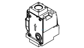 Lochinvar Gas Valve Assembly | 100268033