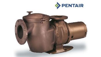 Pentair Commercial Bronze Pump with Hair and Lint Strainer | 3 Phase NEMA 20 HP 380-415V 50 HZ  | CHKL-200 | 014884