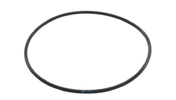 Waterco Diffuser O-Ring | 6340113