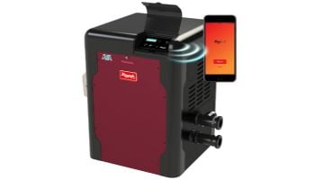 Raypak AVIA Digital Low NOx Natural Gas Pool and Spa Heater | 264k BTU | Altitude 0-9999 Ft | Copper Heat Exchanger | P-M264A-EN-C 018068 P-D264A-EN-C 018092 | P-R264A-EN-C 018032