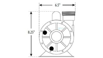 Waterway Iron Might Super Pro Pump | 1/15HP 230V 48 Frame | SG9006-1E