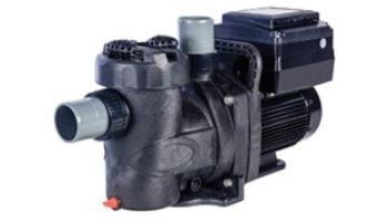 Speck BADU Pro-V Self-Priming High Flow Variable Speed Pump | 2" Port Size 2.7 THP 230V 7.83WEF | IG385-V270T-TUS