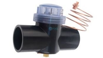 CMP Pool Defender 2" Socket Compact 2-1/2" Spigot with Copper Wire | 25810-400-050