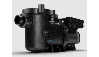 Jandy ePump Variable Speed Pump | 2 Relays No Controller | 2.2 THP 115-230V | VSSHP220DV2A