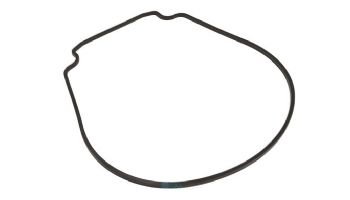 Waterco Pump Body O-Ring | 634070