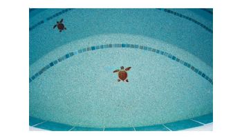 C.L. Industries CrystalStones Natural Pebble Pool Finish | 80 Lb. | Emerald Isle | CSIEMISO | CSIEMRDISLE