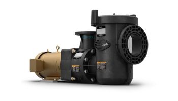 Jandy JCP Commercial Polymer Pump | 10HP 208-230/460V TEFC Three Phase | Strainer Not Included | JCP10-3AT-N