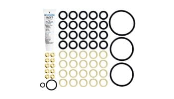 Hayward HDF Ignition Kit & Flame Sensor | HDXFORK001