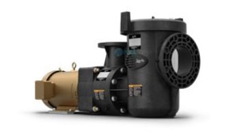 Jandy JCP Commercial Polymer Pump | 7.5HP 230V ODP Single Phase | Strainer Not Included | JCP07-1BD-N