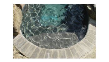 C.L. Industries SunStone Pearl Pebble Pool Finish | 80 Lb. | Black Pearl | SSPBKPO