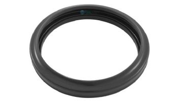 Zodiac Jandy Silicone Lens Gasket | R0791100