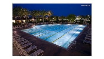 J&J Electronics PureWhite Pro LED Pool Lamp | 120V Cool White Equivalent to 500W | LPL-PRHO-CW-120 | 26810 46810