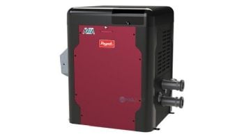 Raypak AVIA Digital Low NOx Natural Gas Pool and Spa Heater | 264k BTU | Altitude 0-9999 Ft | NiTek Heat Exchanger | P-M264A-EN-N 018080 | P-D264A-EN-N 018104 | P-R264A-EN-N 018044