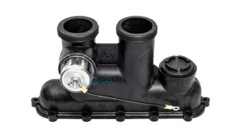 Raypak Inlet Outlet Header Assembly Complete Protek | 017959F