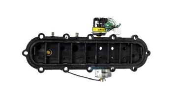 Raypak Inlet Outlet Header Assembly Complete Protek | 017959F