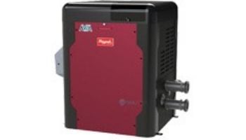 Raypak AVIA Digital Low NOx Natural Gas Pool and Spa Heater | 264k BTU | Altitude 0-9999 Ft | NiTek Heat Exchanger | P-M264A-EN-N 018080 | P-D264A-EN-N 018104 | P-R264A-EN-N 018044